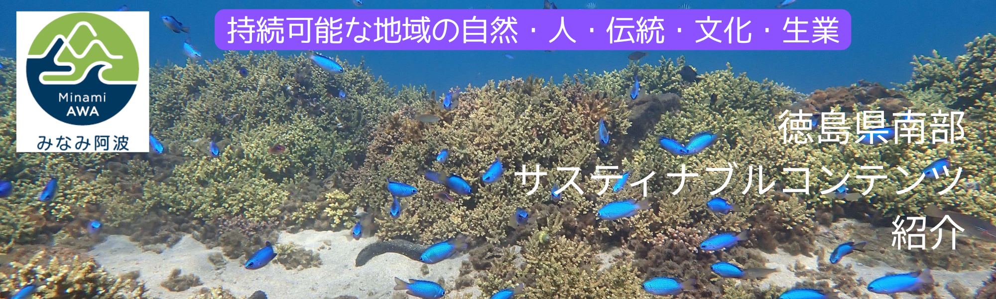 徳島県南部サスティナブルコンテンツ紹介