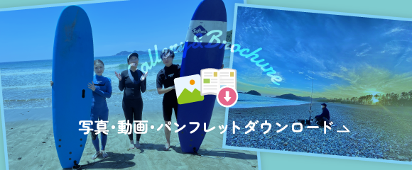 写真・動画・パンフレットダウンロード