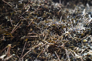 相生番茶４