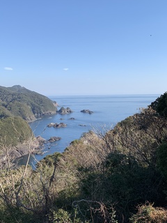 海岸清掃（南阿波サンライン）