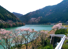 川口ダム