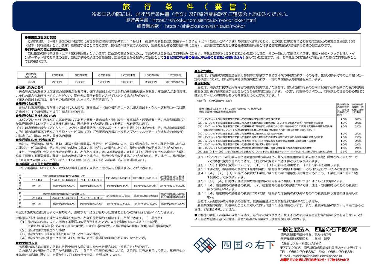 チラシ3 チラシ3