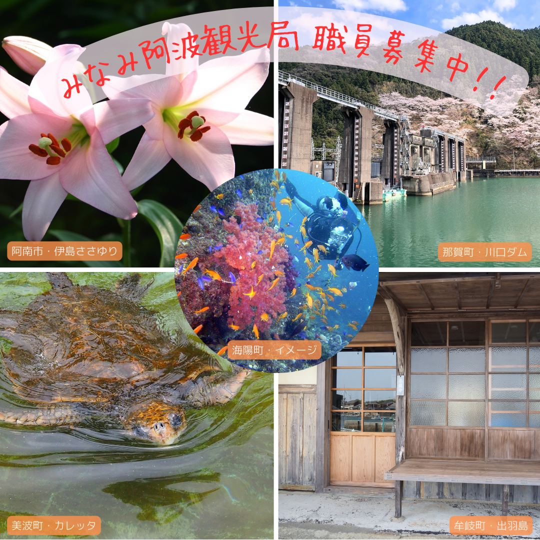 那賀町・長安口ダム (1)
