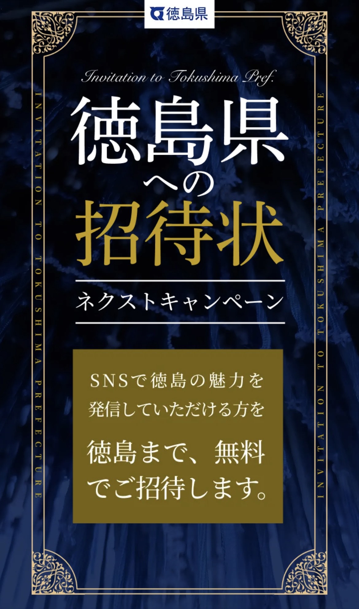 ネクストキャンペーン（縦）