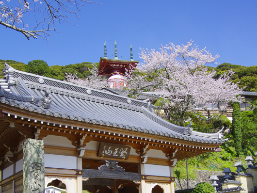 薬王寺