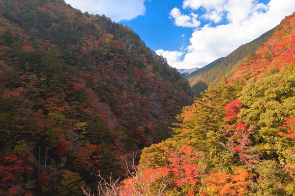 高の瀬峡