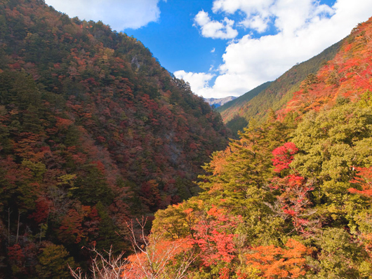 高の瀬峡