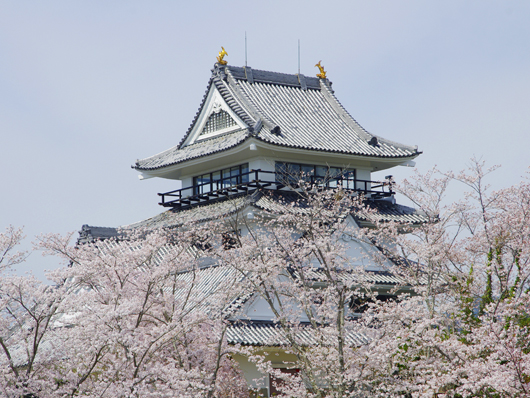 日和佐城