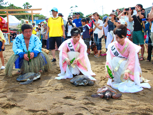 日和佐うみがめ祭り