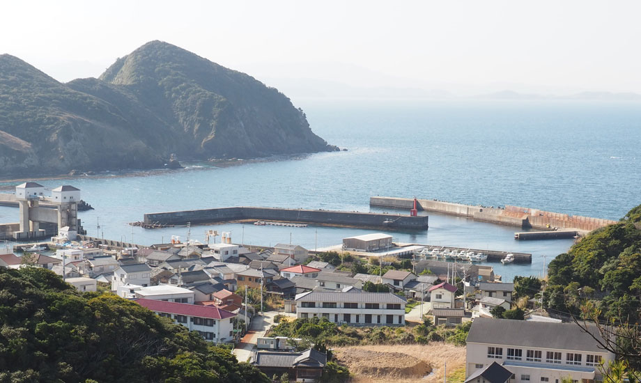 紀伊水道にぽっかり浮かぶ桃源郷”伊島”で漁業・郷土料理体験ささゆりトレッキング