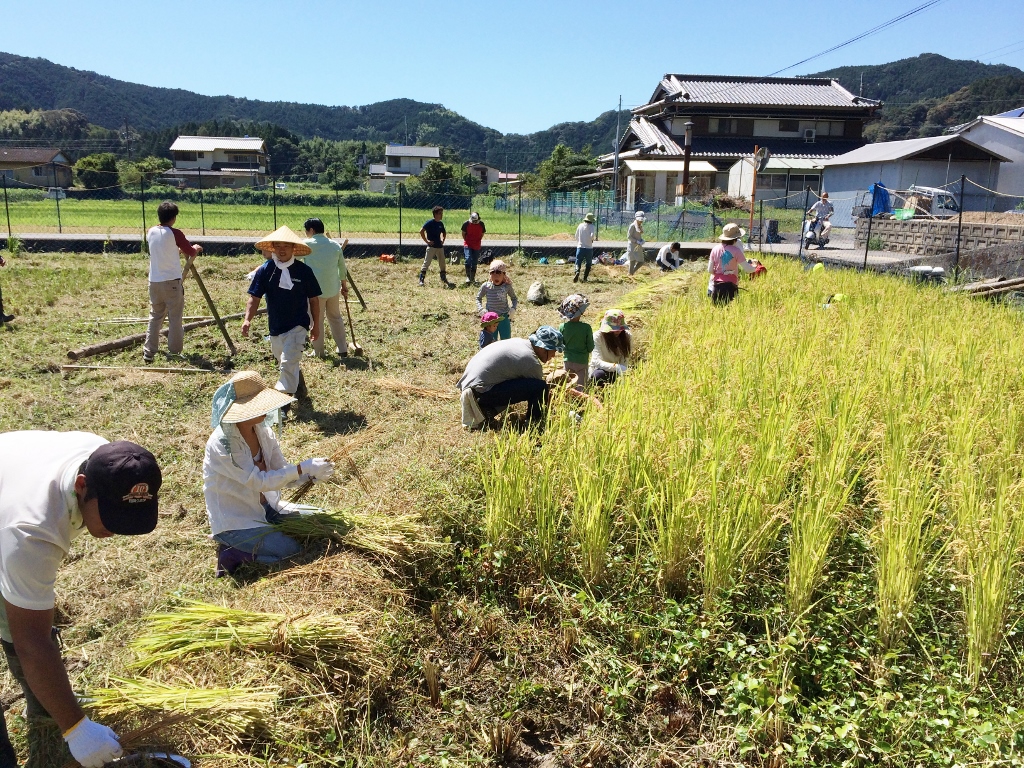 ～海陽町・宍喰 お米収穫体験とできたて新米を食すヘルシーな休日～（日帰り）