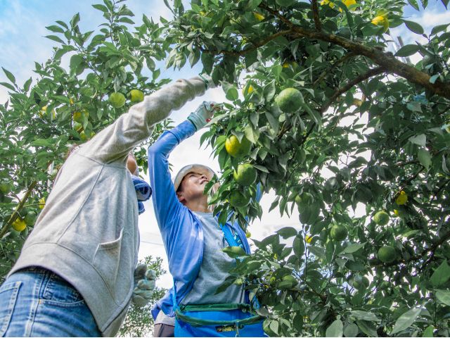 おすすめポイント３