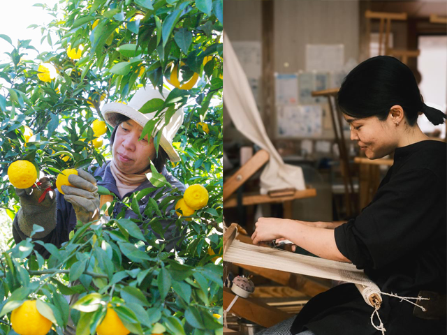 おすすめポイント５