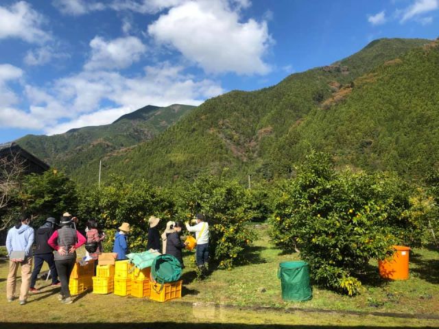 ～ゆず香る風にのって～  那賀町・木頭 五感が喜ぶ秋のしずく旅〜（日帰り）