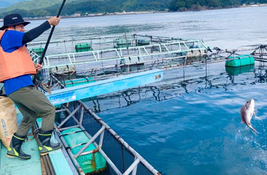 おすすめポイント５