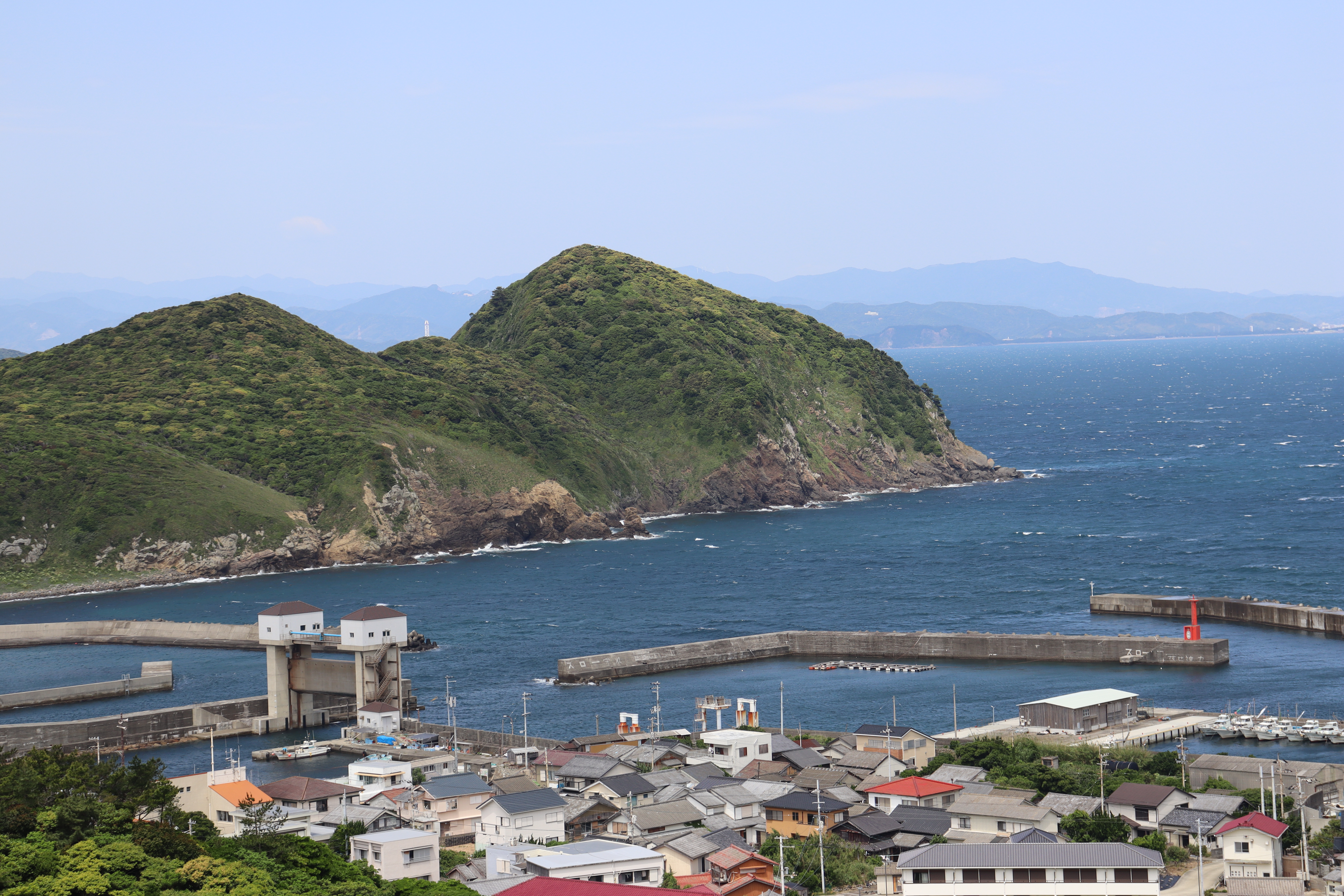 紀伊水道にぽっかり浮かぶ桃源郷 “伊島”ささゆりトレッキングと島ごはん・漁業体験の旅（日帰り）