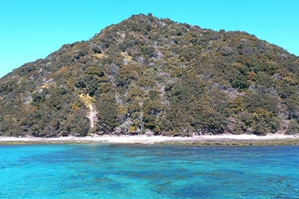 県内屈指の透明度 竹ヶ島海域公園満喫（日帰り）